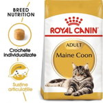 Royal Canin Maine Coon Adult hrană uscată pisică, 10kg, Royal Canin