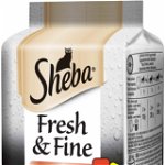 SHEBA Fresh&Fine plicuri Mini selecţii Mixte, pentru pisici adulte 6x50g, Sheba