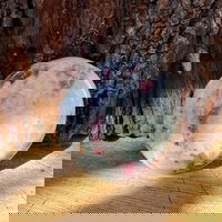 Palmstone rubelit/ turmalina roz m2, druzy.ro - Cristale, Home Deco