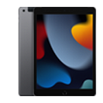 iPad 9 10.2 inchi WiFi Cellular 256GB Space Grey, apple