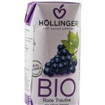 Suc de struguri rosii Bio cu pai Hollinger, 200 ml