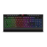 Tastatura de gaming, HAVIT, KB487L, Iluminare RGB, Negru, Taste multimedia, Interfata USB, Lungime cablu 1,5 m, 461 x 198 x 37 mm