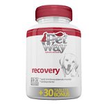 Petway Recovery - 120 Tablete + 30 Bonus, PetWay