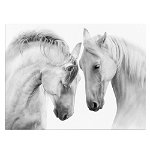 Tablou doi cai albi alb negru 1898 - Material produs:: Poster pe hartie FARA RAMA, Dimensiunea:: 60x80 cm, 