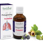 Polygemma 16 Plamani, 50 ml, PLANTEXTRAKT