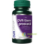 DVR-Stem Prostata