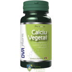 Calciu vegetal 60 capsule, Dvr Pharm