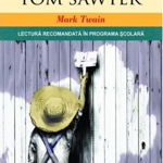Aventurile lui Tom Sawyer, Litera