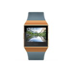 Smartwatch Fitbit Ionic Slate Blue Burnt Orange