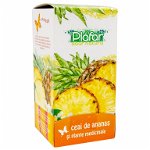 Ceai de ananas Premium, 20 plicuri, Plafar, Plafar