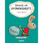 Învaţă să economiseşti - Hardcover - Cinders McLeod - Nemira, 