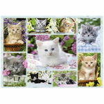 Puzzle Ravensburger - Kittens in their baskets, 500 piese (14196), Ravensburger