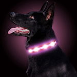 Zgarda pentru caine GOMYYARD, LED, nailon, negru/roz, marimea M, 