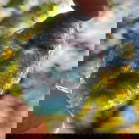 Fluorit albastru piatra bruta m2, druzy.ro - Cristale, Home Deco