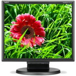Monitor LCD 17 Nec MultiSync E171M SXGA 5ms Black 60003582