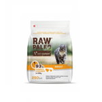RAW PALEO, Curcan și Pui, hrană uscată fără cereale pisici, 2kg, RAW PALEO