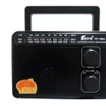 Radio portabil ROTOSONIC FP-1603 cu 3 benzi, GAVE
