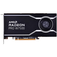 Placa Video Radeon Pro W7500 8GB Retail, Advanced Micro Devices