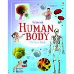 Human Body Picture Book - Usborne book (7+)