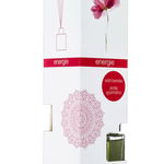 Zenhome Odorizant camera cu bete 50 ml Energie Wild Berries, 