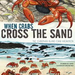 When Crabs Cross the Sand : The Christmas Island Crab Migration