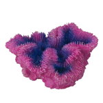 Decor Acvariu Laroy Coral Symphylia Violet 12x5x12 cm 234/431351