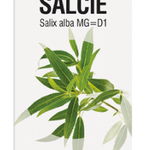 SALCIE  - muguri - gemoderivat - 50ml - PlantExtrakt, Plantextrakt