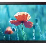 Samsung Ecran Profesional ADS LED Samsung 13 LH13QBRMBGCXEN, Full HD, HDMI, WiFi, Negru, Samsung