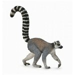 Lemur cu coada-inel - Collecta, Collecta