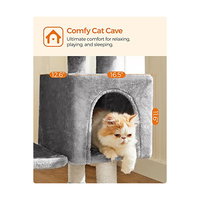 FEANDREA Ansamblu de joaca pentru pisici