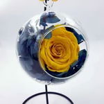Trandafir Criogenat Natural 6.5cm și Hortensie Criogenată Naturală în bol de sticlă cu picior metalic - Bicolor Alb – Ciocolata