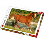 Trefl - Puzzle animale Frumosii cai , Puzzle Copii, piese 500, Multicolor