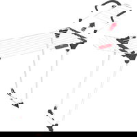 Uscator de rufe, Vileda, Premium 2 in 1, Vileda