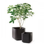 Ghiveci Cube Planter M Antracit, Keter