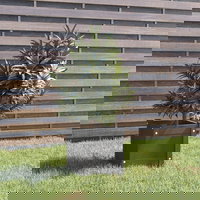 Jardinieră de grădină, gri, 31x31x31 cm, lemn masiv de pin