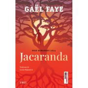 Jacaranda - Gael Faye, Jacaranda - Gael Faye,
