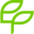 enigma-plant.ro logo