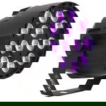 PROIECTOR LED UV 12X2W CU MICROFON SI DMX, Ibiza Light