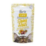 Brit Care Snack Shiny Hair, Somon cu galbenele, recompense functionale fară cereale pisici, piele și blană, 50g, Brit Care