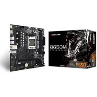 Placa de baza Biostar B650MT