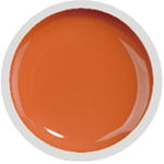 COVER COLOR GEL FSM 017 - CC-017 - Everin.ro, FSM