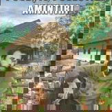 Povesti povestiri amintiri - Ion Creanga