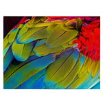 Tablou aripa papagal Ara rosu verde albastru 1595 - Material produs:: Poster pe hartie FARA RAMA, Dimensiunea:: 20x30 cm, 