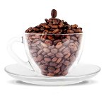 Cappuccino Coffee (Gramaj: 400g), 