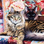 Puzzle Master Pieces - Cat-Ology - Raja and Mulan, 1.000 piese (Master-Pieces-71814), Master Pieces