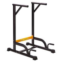 Aparat fitness multifunctional pwl8306, Progressive