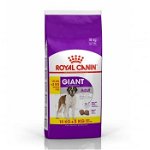 Royal Canin Giant Adult hrană uscată câine, 15kg, Royal Canin