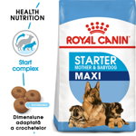 ROYAL CANIN Maxi Starter Mother&Babydog gestatie/ lactatie pui hrana uscata caine 30 kg (2 x 15 kg), ROYAL CANIN