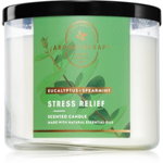 Bath & Body Works Eucalyptus Spearmint lumânare parfumată Stress Relief 411 g, Bath & Body Works