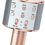 Microfon Wireless Kararoke WS858 functie Bluetooth Card Sd putere 5W, GAVE